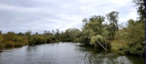 Tagesausflug Biesbosch