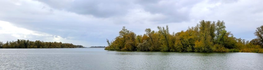 Biesbosch