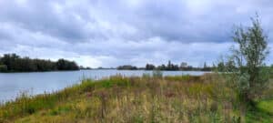 Tagesausflug Biesbosch