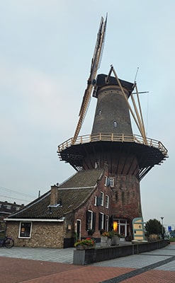 Molen De Roos in Delft