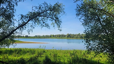 Flusslandschaft Millingerwaard