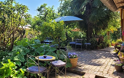Millinger Theetuin - der Teegarten