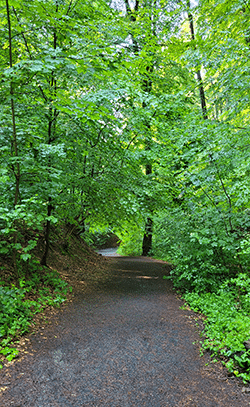 Weg im Nachtigallental bei Königswinter